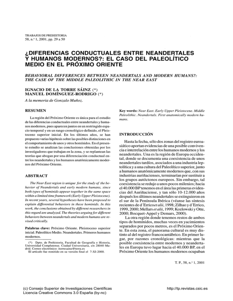 ¿Diferencias Conductuales Entre Neandertales Y Humanos Modernos?