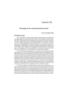 Capítulo XL. Fisiología de los espermatozoides bovinos.