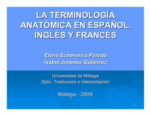 la terminología anatómica en español, inglés y francés