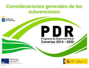 Consideraciones generales de las subvenciones