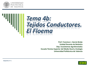 Floema - Escuela Técnica superior de Ingeniería Agronómica y
