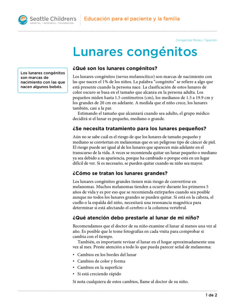 Mole In Spanish Translation at Mayra Lafave blog