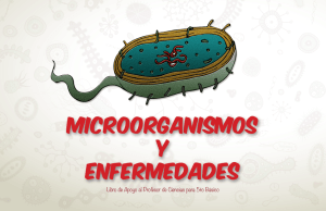 Microorganismos y enfermedades