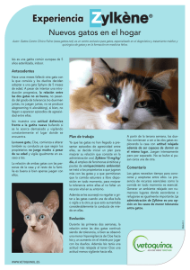 Descargar PDF “Experiencia Zylkène®: Nuevos gatos en el