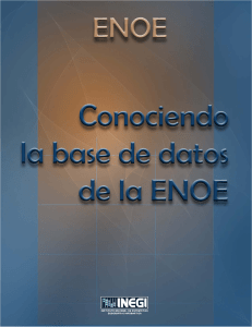 Conociendo la base de datos de la ENOE
