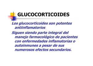 GLUCOCORTICOIDES