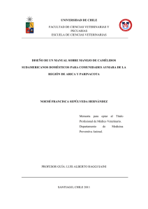 diseño de un manual sobre manejo de camélidos sudamericanos