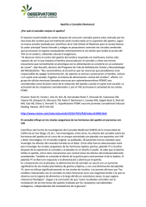 Apetito y Cannabis (Humanos) ¿Por qué el cannabis mejora el