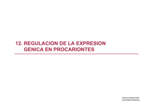12. regulacion de la expresion genica en procariontes