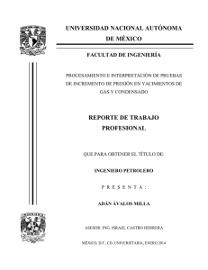 universidad nacional autónoma de méxico reporte de