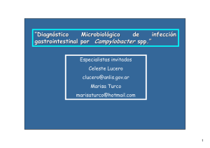 Descargar - Asociación Argentina de Microbiología