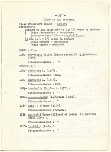 - 537 - Clave de las especies. Cáliz fructífero caduco = cordata