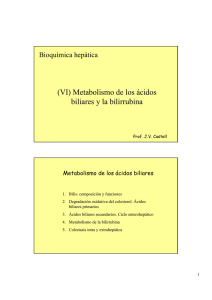 (VI) Metabolismo de los ácidos biliares y la bilirrubina