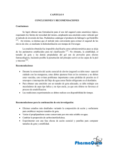CAPITULO 5 CONCLUSIONES Y