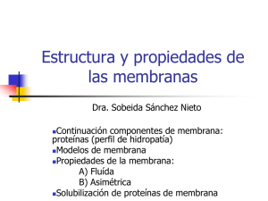 Propiedades y componentes de las membranas (continuación)