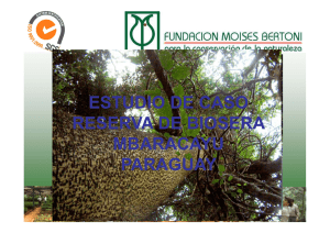 estudio de caso reserva de biosera mbaracayu paraguay