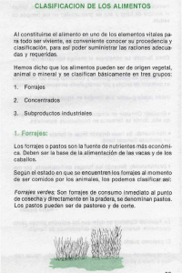 CLASIFICACION DE LOS ALIMENTOS 1. Forrajes: