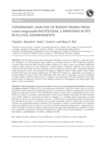 TAPHONOMIC ANALYSIS OF RODENT BONES FROM Lontra