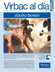 Bovinos de Leche Aborto bovino
