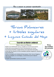 Torcas Cuenca - Cuenca Ambiental