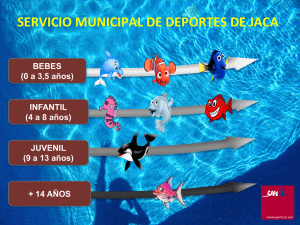 Niveles - Servicio Municipal de Deportes de Jaca