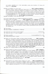 sula, globoso. 2n=64. $. 1-1.: V-VIII. Subnitrófila y triaría, rara