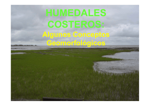 HUMEDALES COSTEROS:
