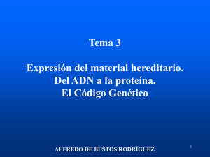 Tema 3