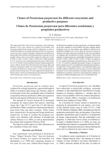 Clones of Pennisetum purpureum for different ecosystems and