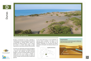 Dunas - Diccionario Enciclopédico Dominicano de Medio Ambiente