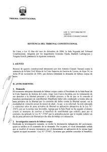 TRIBUNAL CONSTITUCIONAL