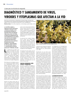 diagnóstico y saneamiento de virus, viroides y fitoplasmas que
