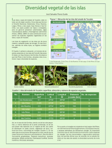 Diversidad vegetal de las islas