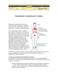 Entendiendo la Insuficiencia Cardíaca