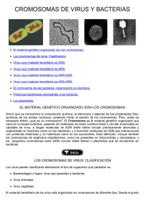 03-Cromosomas de virus y bacterias