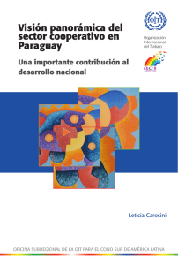 Visi&oacute;n panor&aacute;mica del sector cooperativo en Paraguay