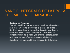 MANEJO INTEGRADO DE LA BROCA DEL CAFE EN EL SALVADOR