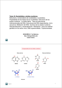Tema 10. Nucleótidos y ácidos nucleicos. Estructura y nomenclatura