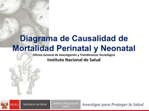 Diagrama de Causalidad de Mortalidad Perinatal y Neonatal