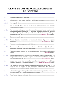 Claves de Órdenes