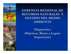 GERENCIA REGIONAL DE RECURSOS NATURALES Y GESTIÓN