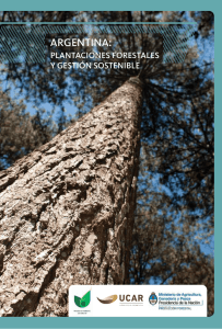 Argentina: Plantaciones forestales y gestión sostenible