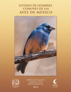 Listado de Nombres Comunes Aves 2014 web