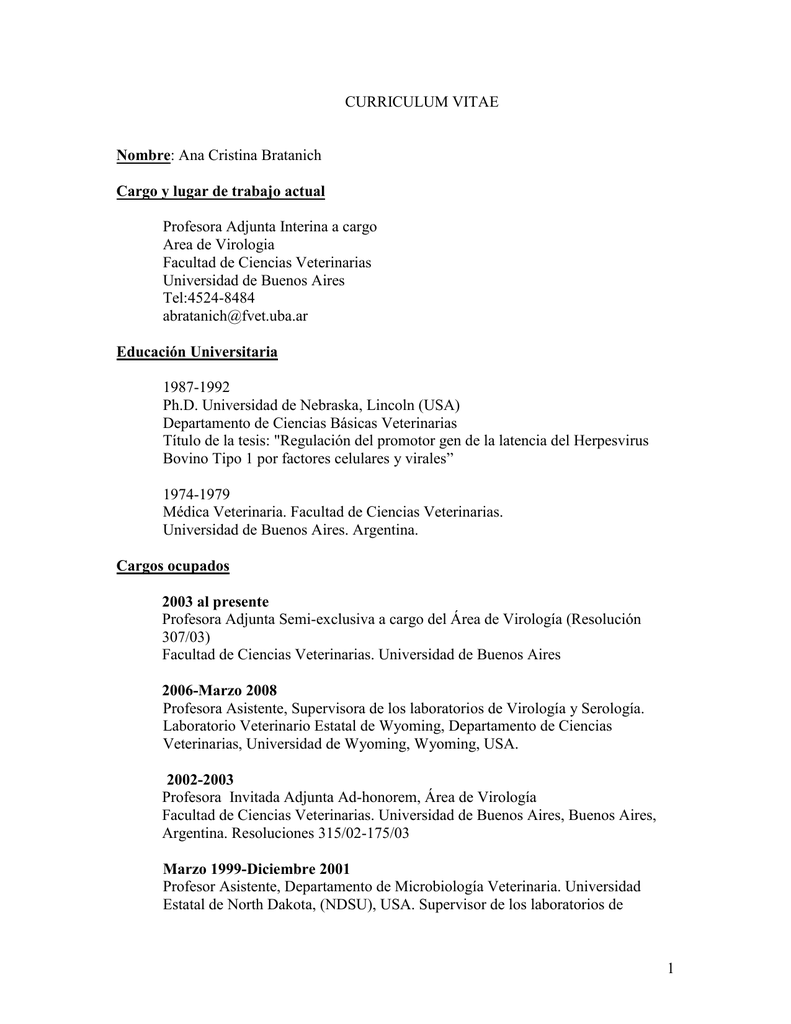 Curriculum vitae examples pdf image