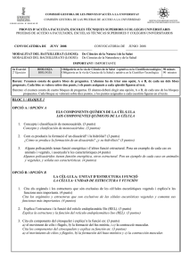 BLOC 1 / BLOQUE 1 OPCIÓ A / OPCIÓN A ELS