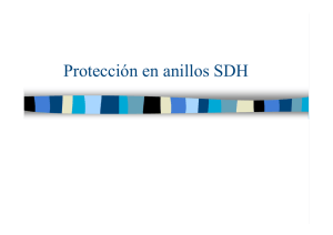 Protección en anillos SDH