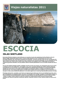 islas shetland