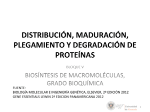 distribución, maduración, plegamiento y degradación de proteínas