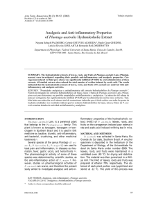 Analgesic and Anti-inflammatory Properties of Plantago australis