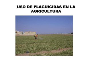 uso de plaguicidas en la agricultura